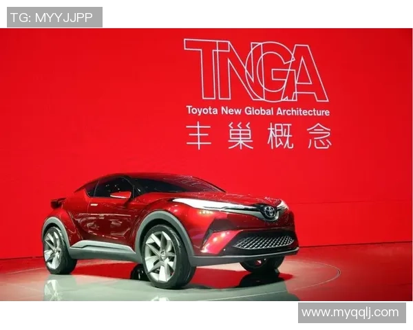 北京排球队在洲际杯中的节奏表现分析与未来展望