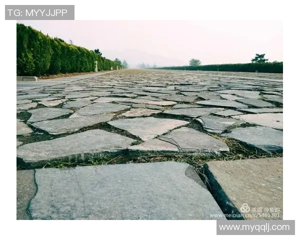 李强的排球人生深度对话探寻运动背后的坚持与梦想