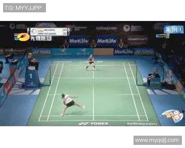 南京羽毛球队反击战术深度解析与实战应用探讨