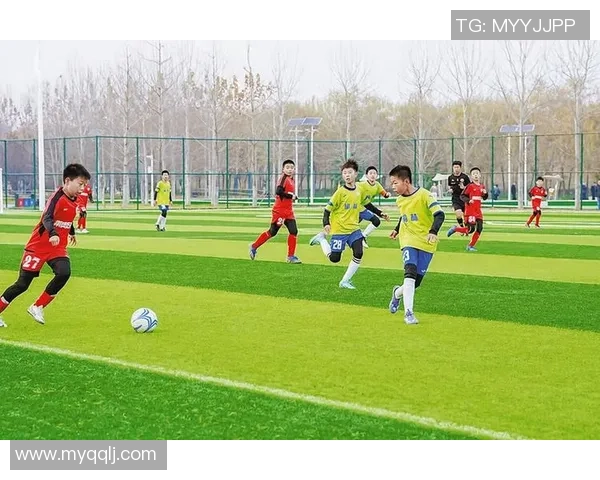 探索泛足球陕西的未来发展与青少年培养新路径 探索泛足球陕西的未来发展与青少年培养新路径