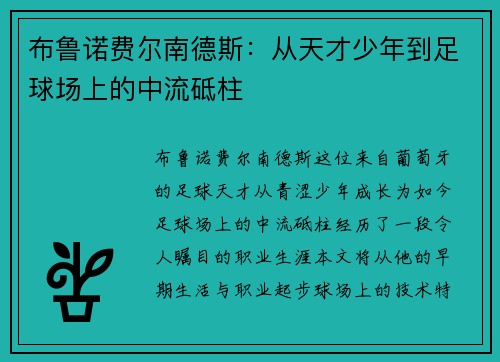 布鲁诺费尔南德斯：从天才少年到足球场上的中流砥柱